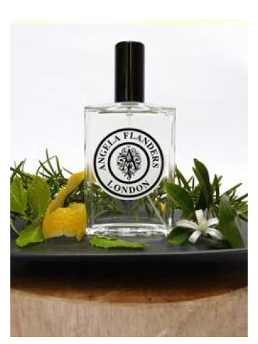 عطر ادکلن نو ثری هانگری واتر آنجلّا فلاندرز - No.3 Hungary Water Angela Flanders - بررسی، قیمت و خرید