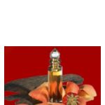 عطر ادکلن پرنسس حمیده عربیان عود - Princess Hamida Arabian Oud - بررسی، قیمت و خرید