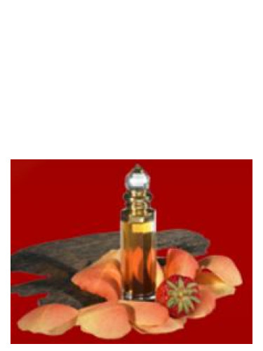 عطر ادکلن پرنسس حمیده عربیان عود - Princess Hamida Arabian Oud - بررسی، قیمت و خرید