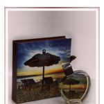 عطر ادکلن ریلکس ایکس وای نایت عربیان عود - Relax XY Night Arabian Oud - بررسی، قیمت و خرید