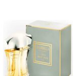 عطر ادکلن شمبلا فور من آندره سینان - Shamballa for Man Andre Sinan - بررسی، قیمت و خرید