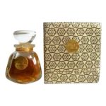 عطر ادکلن فیووری چبروچی - Favori Chabrawichi - بررسی، قیمت و خرید