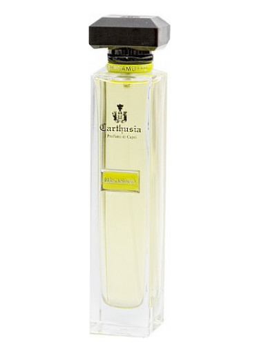 عطر ادکلن آکوا دی کارثوسیا برگاموتو کارتوشیا - Acqua di Carthusia Bergamoto Carthusia - بررسی، قیمت و خرید