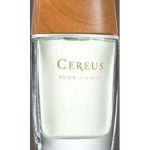 عطر ادکلن سریوس نامبر فایو سیروس - Cereus No.5 Cereus - بررسی، قیمت و خرید
