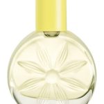 عطر ادکلن بی جویفول آوون - Be... Joyful Avon - بررسی، قیمت و خرید