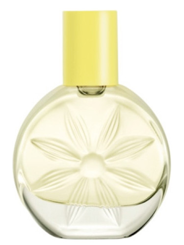 عطر ادکلن بی جویفول آوون - Be... Joyful Avon - بررسی، قیمت و خرید