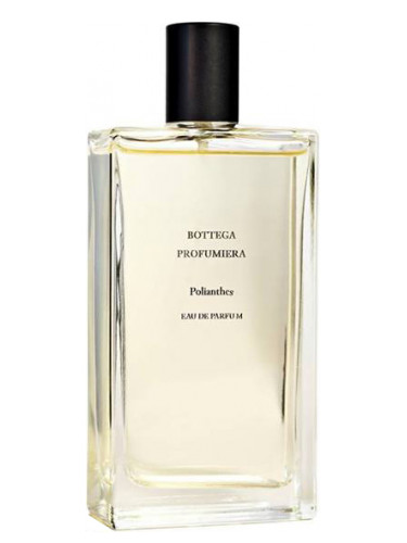 عطر ادکلن پولیانتس بوتگا پروفومرا - Polianthes Bottega Profumiera - بررسی، قیمت و خرید