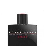عطر ادکلن رویال بلک اسپرت آرنو سورل - Royal Black Sport Arno Sorel - بررسی، قیمت و خرید
