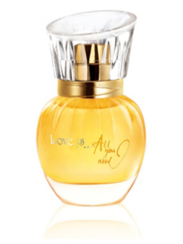 عطر ادکلن لاو ایز... آل یو نید سی اف اف سی فرگرنسز - Love Is… All You Need CFFC Fragrances - بررسی، قیمت و خرید