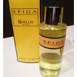 عطر ادکلن اسپیگا بولیس - Spiga Boellis - بررسی، قیمت و خرید