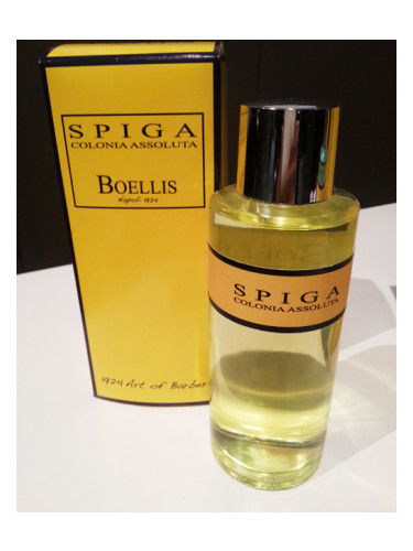 عطر ادکلن اسپیگا بولیس - Spiga Boellis - بررسی، قیمت و خرید