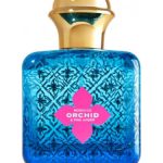 عطر ادکلن مراکو ارکید اند پینک امبر بث اند بادی ورکس - Morocco Orchid & Pink Amber Bath & Body Works - بررسی، قیمت و خرید