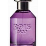 عطر ادکلن اسپیگو نوزده بیست بویز ۱۹۲۰ - Spigo 1920 Bois 1920 - بررسی، قیمت و خرید
