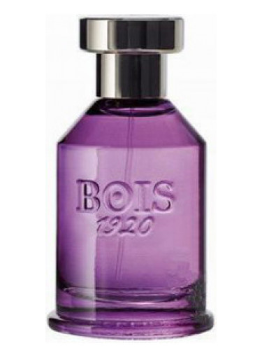 عطر ادکلن اسپیگو نوزده بیست بویز ۱۹۲۰ - Spigo 1920 Bois 1920 - بررسی، قیمت و خرید