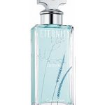 عطر ادکلن ایتِرنیتی سامر دو هزار و شِش کالوین کلاین - Eternity Summer 2006 Calvin Klein - بررسی، قیمت و خرید