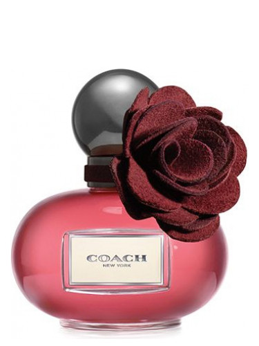 عطر ادکلن پاپی وایلد فلاور کُوچ - Poppy Wild Flower Coach - بررسی، قیمت و خرید