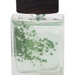 عطر ادکلن گرینلند الن بری - Greenland Alan Bray - بررسی، قیمت و خرید