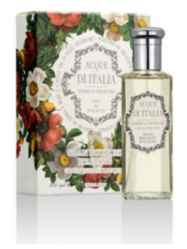 عطر ادکلن گران بوکه ایتالیانو اکو دی ایتالیا - Gran Bouquet Italiano Acque di Italia - بررسی، قیمت و خرید