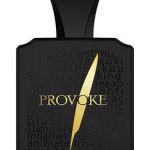 عطر ادکلن پرووک بلک افنان - Provoke Black Afnan - بررسی، قیمت و خرید