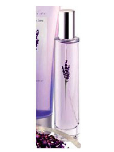 عطر ادکلن لاوندر اِیوِن - Lavender Avon - بررسی، قیمت و خرید