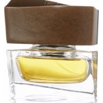 عطر ادکلن بريونى او د توالت بریونی - Brioni Eau de Toilette Brioni - بررسی، قیمت و خرید