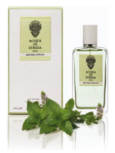 عطر ادکلن منتا سیترات آکوا دی استرزا - Mentha Citrata Acqua di Stresa - بررسی، قیمت و خرید
