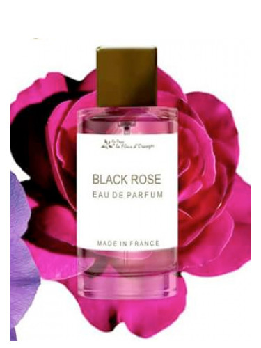 عطر ادکلن بلک رز او پی دی لا فلور دورنجر - Black Rose Au Pays de la Fleur d’Oranger - بررسی، قیمت و خرید