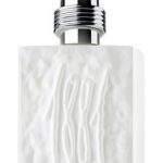 عطر ادکلن ادیسیون بلانش پور هوم چروتی - 1881 Edition Blanche Pour Homme Cerruti - بررسی، قیمت و خرید