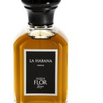 عطر ادکلن لا هاوانا آکوافلور فلورانس - La Habana Aquaflor Firenze - بررسی، قیمت و خرید