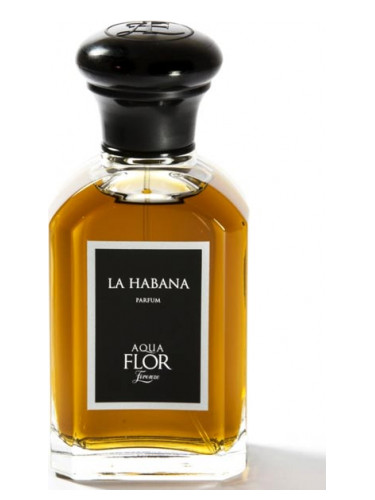 عطر ادکلن لا هاوانا آکوافلور فلورانس - La Habana Aquaflor Firenze - بررسی، قیمت و خرید