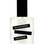 عطر ادکلن میزوچی بِلَک‌بِرد - Mizuchi Blackbird - بررسی، قیمت و خرید