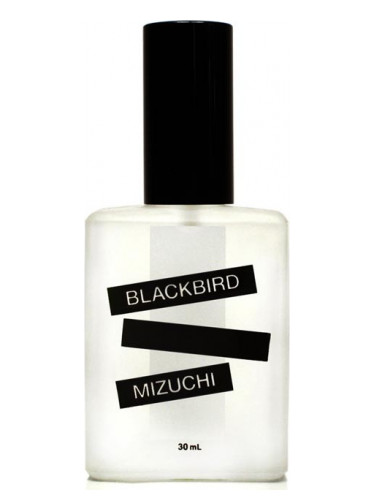 عطر ادکلن میزوچی بِلَک‌بِرد - Mizuchi Blackbird - بررسی، قیمت و خرید
