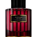 عطر ادکلن برنینگ رز کارولینا هررا - Burning Rose Carolina Herrera - بررسی، قیمت و خرید