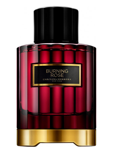 عطر ادکلن برنینگ رز کارولینا هررا - Burning Rose Carolina Herrera - بررسی، قیمت و خرید