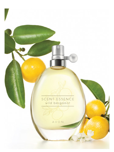 عطر ادکلن سِنت اِسِنس - وایلد بِرگاموت اون - Scent Essence - Wild Bergamot Avon - بررسی، قیمت و خرید