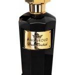 عطر ادکلن دارک ارکید آمورود - Dark Orchid Amouroud - بررسی، قیمت و خرید