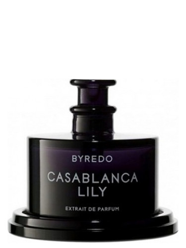 عطر ادکلن کازابلانکا لیلی بایردو - Casablanca Lily Byredo - بررسی، قیمت و خرید