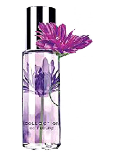 عطر ادکلن پشنیت پرپل ایوِن - Passionate Purple Avon - بررسی، قیمت و خرید