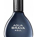 عطر ادکلن آگوا براوا آزول آنتونیو پوگ - Agua Brava Azul Antonio Puig - بررسی، قیمت و خرید