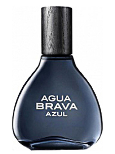 عطر ادکلن آگوا براوا آزول آنتونیو پوگ - Agua Brava Azul Antonio Puig - بررسی، قیمت و خرید