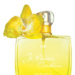 عطر ادکلن ژوتم کاریبین سیل پرفیوم - Je t’aime Caribbean CIEL Parfum - بررسی، قیمت و خرید