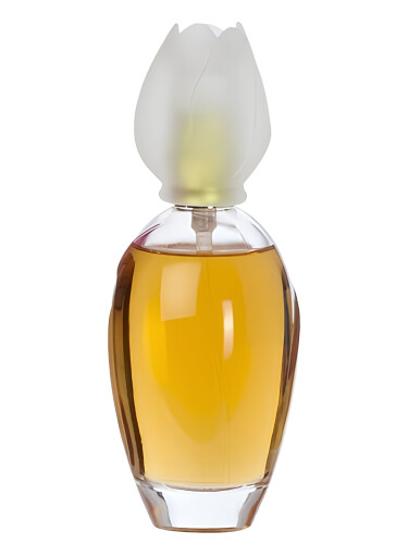 عطر ادکلن کلوئه نارسیس کلوئه - Chloé Narcisse Chloé - بررسی، قیمت و خرید