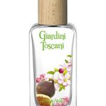 عطر ادکلن جاردینی توسکانی - ویالتو دله دلیزیه بوتگا ورده - Giardini Toscani - Vialetto delle Delizie Bottega Verde - بررسی، قیمت و خرید