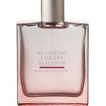 عطر ادکلن بلاشینگ چری بلاسم بث اند بادی ورکس - Blushing Cherry Blossom Bath & Body Works - بررسی، قیمت و خرید