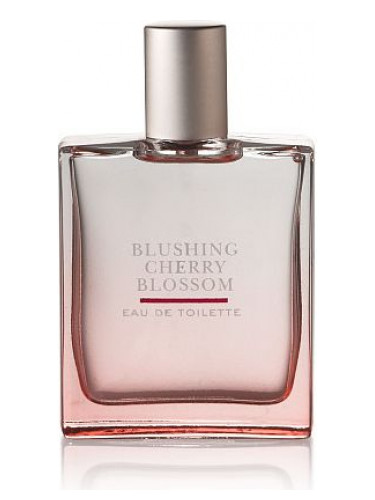 عطر ادکلن بلاشینگ چری بلاسم بث اند بادی ورکس - Blushing Cherry Blossom Bath & Body Works - بررسی، قیمت و خرید