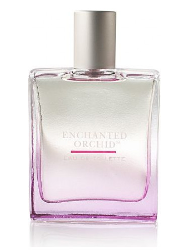 عطر ادکلن اینچنتد ارکید بث اند بادی ورکز - Enchanted Orchid Bath & Body Works - بررسی، قیمت و خرید