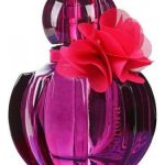 عطر ادکلن سنیورا اجمل - Senora Ajmal - بررسی، قیمت و خرید