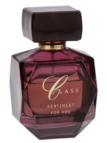 عطر ادکلن سِنتیمنت کلاس - Sentiment Class - بررسی، قیمت و خرید