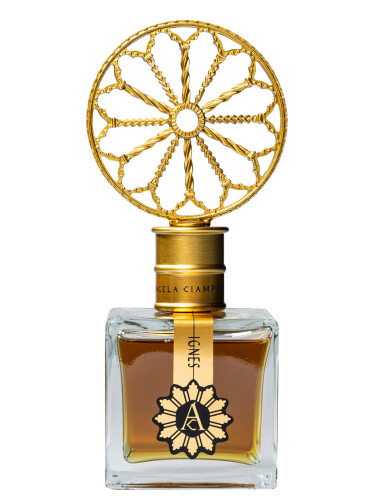 عطر ادکلن ایگنس آنجلا چیامپاگنا - Ignes Angela Ciampagna - بررسی، قیمت و خرید