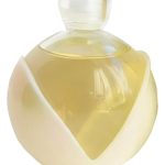 عطر ادکلن نوا گلد کاشرِل - Noa Gold Cacharel - بررسی، قیمت و خرید